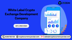 Time to Empower Your White-Label Crypto Exchange Development