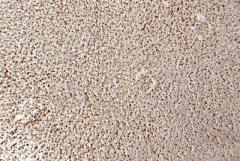 Resin Pebble Floor - Resin Rock LLC