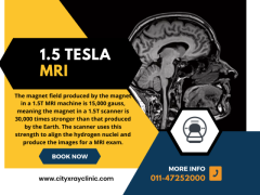 1.5 Tesla MRI Price What You Need to Know