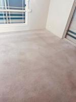 Carpet stain removal service Adelaide