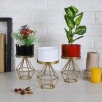 Buy Stylish Plant Stands Online | Dusaan's Elegant Collection