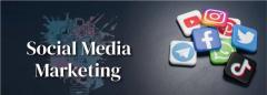 Social Media Marketing Expert in Noida