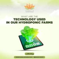 Hydroponics vs. Traditional Farming: Which Fits Pune's Future?