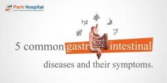 Best Gastroenterologist Hospital in Palam Vihar Gurgaon