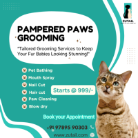 Dog grooming chennai home services