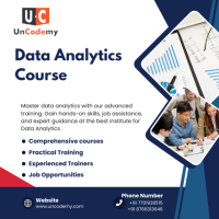 Empower Your Career with Practical Data Analytics Skills