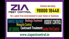 Pest Control Cleaning Service | Cockroach servie Upto 50% Off  | 3090