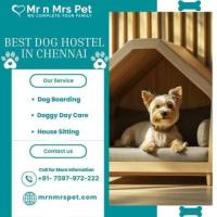 Explore The Best Dog Hostel in Chennai