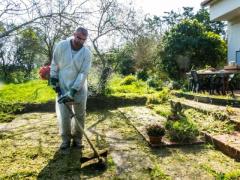 Lawn Mowing in Sydney - Tired of an Overgrown, Messy Lawn?