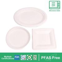 Biodegradable Bagasse Tableware: From Sugarcane to Tableware