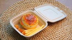 Biodegradable Bagasse Tableware: From Sugarcane to Tableware