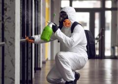 Mold Remediation What Is Mold and Why Is it Dangerous?