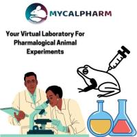 Animal Experiments In Pharmacology