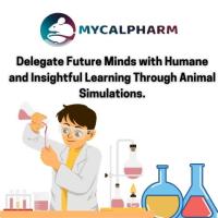 Animal Experiments For Students