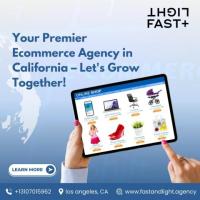 Your Premier Ecommerce Agency in California – Let's Grow Together!