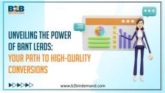 Unveiling the Power of BANT Leads: Your Path to High-Quality Conversions