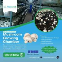 In India Mushroom Growing Cold Storage Manufacturers - Awotech