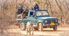 Plan Your Adventure with Sasan Gir Jeep Safari Booking Today