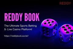 Win Rewards with Reddy Book's Live Games