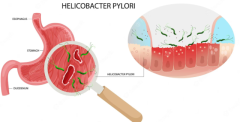 Effective Helicobacter Pylori Treatment from Vitalee Nanomed Corp