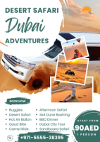 Dubai City Tour Desert Safari Dubai Adventures / +971 55 553 8395