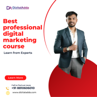 Best professional digital marketing course– Learn from Experts