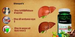 5 Best Ayurvedic Herbs To Cure Fatty Liver