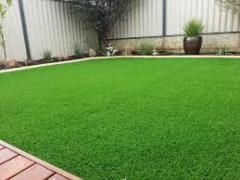 Synthetic grass in Katy