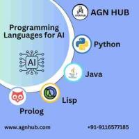 Master Programming Languages for AI at AGN Hub in Jaipur