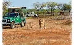 Plan Devalia Safari Booking Online for Unique Trip