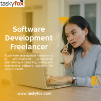 Software Development Freelancer