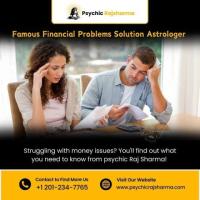 Famous Financial Problems Solution Astrologer in New Jersey | Psychic Raj Sharma