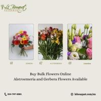 Buy Bulk Flowers Online: Alstroemeria and Gerbera Flowers Available