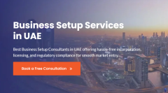 Business Setup Services in UAE