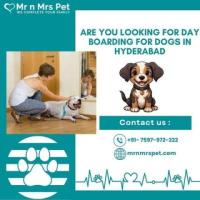 Best Day Boarding For Dogs in Hyderabad