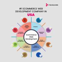 #1 E-commerce Web Development Company in USA | IT Services India