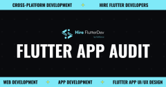 Get Mobile App Audit Services from Hire FlutterDev