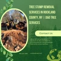 Tree Stump Removal Services in Rockland County, NY | D&D Tree Services