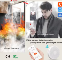 Smoke and Carbon Monoxide Detectors: Protect Your Home from Fire and Toxic Gases