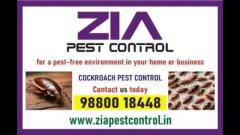 Top Cockroach Pest Control | Garden pest control | Ant  | Lizard | 4029