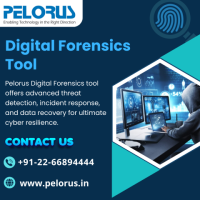 Digital Forensics Tool