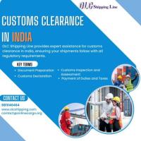 Get reliable customs clearance service in Mahipalpur by OLC Shipping Line