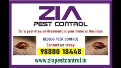 Bedbug Treatment | white field Bangalore | 100% safe Service | 4029