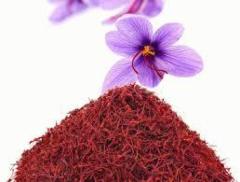 Top-rated Saffron Wholesale Supplier offers quality Essential Oils 