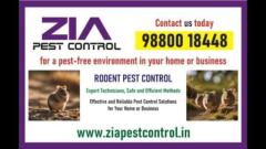 Get rid of Rodent | Rodent control treatment | hotels | 4029 | apartments