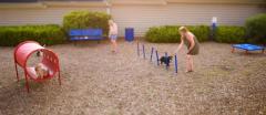 Expert Dog Park Design Services for Your Furry Friends