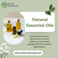 Natural Essential Oils Wholesalers in India