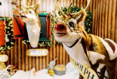 Animatronics Christmas Characters Suppliers in Thailand