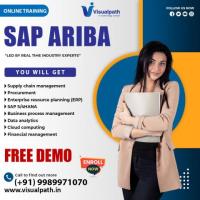 The Best SAP Ariba Online Training | Visualpath