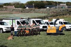 Tree Surgery Belfast